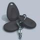 Viscount 425-111 Proximity Key Tag